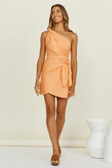 Bright Favours Dress Orange